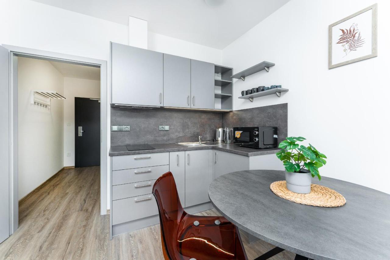 Apartman V Podebradech Poděbrady Екстериор снимка